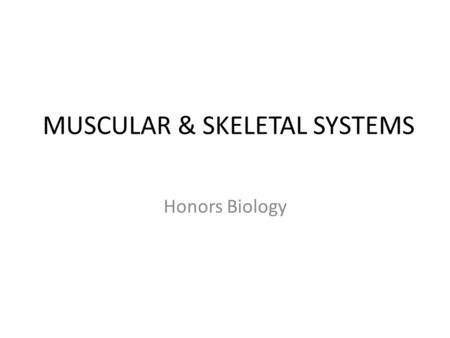 MUSCULAR & SKELETAL SYSTEMS Honors Biology. SKELETAL SYSTEM Adults have 206 bones in their Endoskeleton Skeleton – Appendicular: arms, legs, scapula,