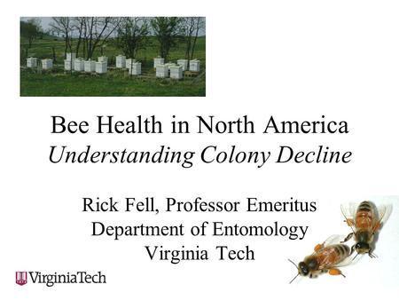 Bee Health in North America Understanding Colony Decline Rick Fell, Professor Emeritus Department of Entomology Virginia Tech.