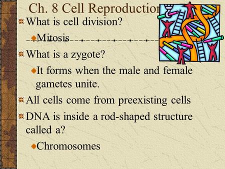 Ch. 8 Cell Reproduction What is cell division? Mitosis