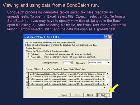 Viewing and using data from a SonoBatch run. SonoBatch processing generates tab-delimited text files readable as spreadsheets. To open in Excel, select.