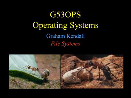 G53OPS Operating Systems Graham Kendall File Systems.