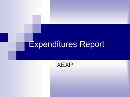 Expenditures Report XEXP. Step 1:Double-click on the Datatel icon to open.