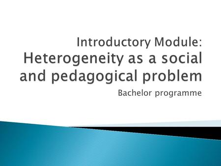Bachelor programme. To make students aware of heterogeneity as a social and pedagogical problem.