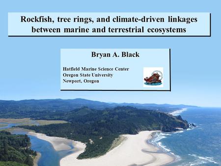 Bryan A. Black Hatfield Marine Science Center Oregon State University Newport, Oregon Rockfish, tree rings, and climate-driven linkages between marine.