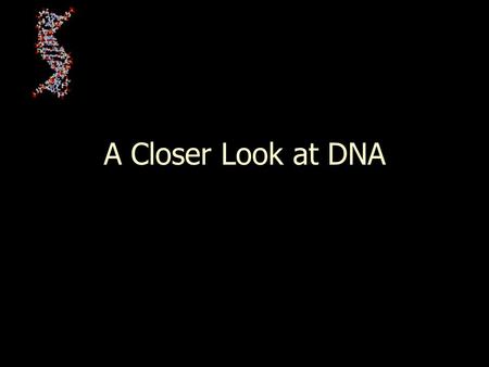 A Closer Look at DNA.