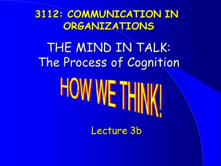 THE MIND IN TALK: The Process of Cognition Lecture 3b Lecture 3b 3112: COMMUNICATION IN ORGANIZATIONS.