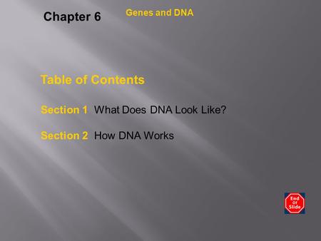 Chapter 6 Table of Contents Section 1 What Does DNA Look Like?