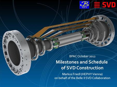 Milestones and Schedule of SVD Construction Markus Friedl (HEPHY Vienna) on behalf of the Belle II SVD Collaboration BPAC October 2012.