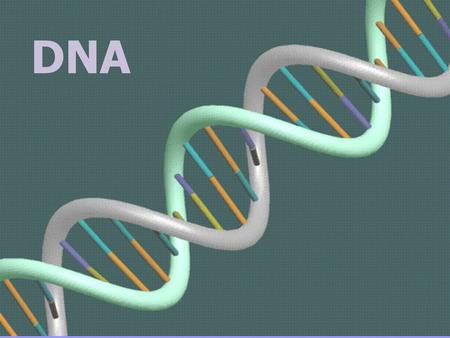 DNA DNA. DNA is often called the blueprint of life. In simple terms, DNA contains the instructions for making proteins within the cell. Proteins control.