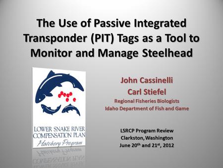 The Use of Passive Integrated Transponder (PIT) Tags as a Tool to Monitor and Manage Steelhead John Cassinelli Carl Stiefel Regional Fisheries Biologists.
