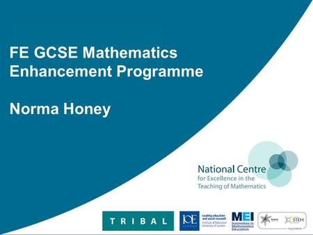 FE GCSE Mathematics Enhancement Programme Norma Honey.