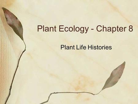Plant Ecology - Chapter 8 Plant Life Histories. r strategist Unstable environment, density independent K strategist Stable environment, density dependent.