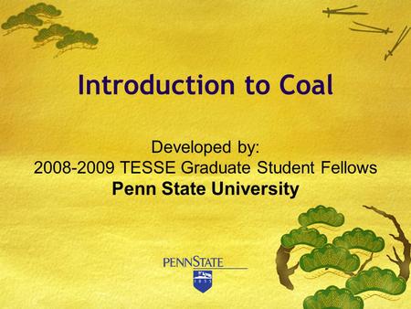 Developed by: 2008-2009 TESSE Graduate Student Fellows Penn State University Introduction to Coal.
