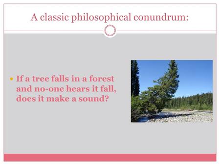 A classic philosophical conundrum: If a tree falls in a forest and no-one hears it fall, does it make a sound?