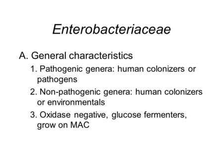Enterobacteriaceae A. General characteristics