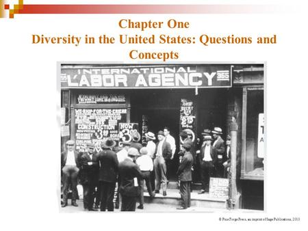 Chapter One Diversity in the United States: Questions and Concepts