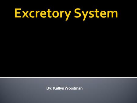 By: Katlyn Woodman. The excretory system consists of, kidneys, ureter, urinary bladder, urethra, abdominal aorta, and inferior vena cava. The excretory.