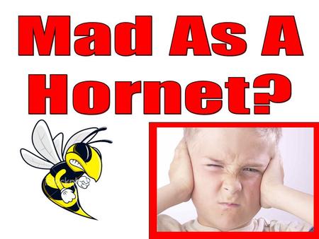 Have you ever disturbed one? Why do they call it “mad as a hornet”? If you’ve ever disturbed a hornet’s nest, you know the answer to this. –Hornets will.