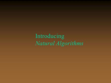 Introducing Natural Algorithms. A passionate affair Nature and Numbers – Friends for ever! I started it !