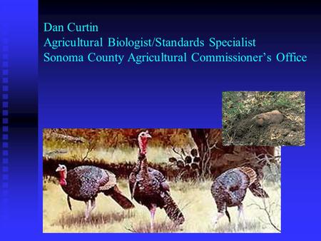 Dan Curtin Agricultural Biologist/Standards Specialist Sonoma County Agricultural Commissioner’s Office.
