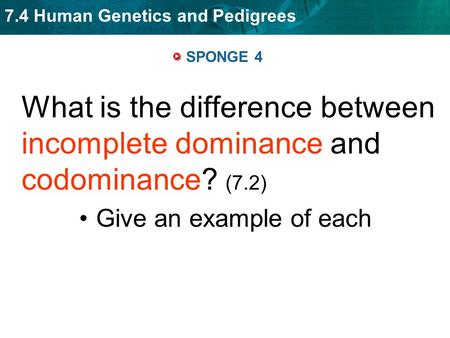 SPONGE 4 What is the difference between incomplete dominance and codominance? (7.2) Give an example of each.