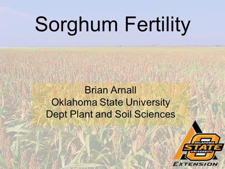 Sorghum Fertility Brian Arnall Oklahoma State University Dept Plant and Soil Sciences.