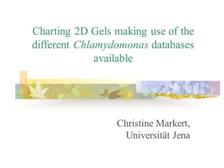 Charting 2D Gels making use of the different Chlamydomonas databases available Christine Markert, Universität Jena.