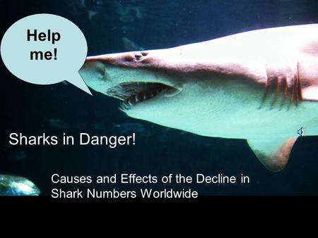 Sharks in Danger! Causes and Effects of the Decline in Shark Numbers Worldwide Help me!