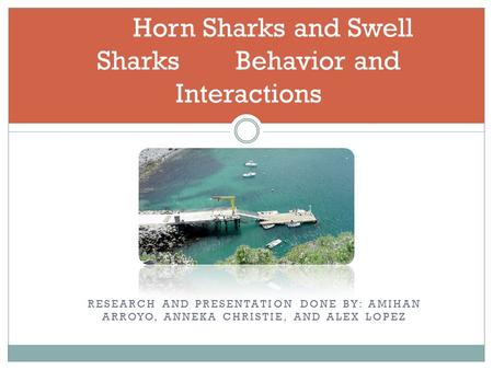 RESEARCH AND PRESENTATION DONE BY: AMIHAN ARROYO, ANNEKA CHRISTIE, AND ALEX LOPEZ Horn Sharks and Swell Sharks Behavior and Interactions.