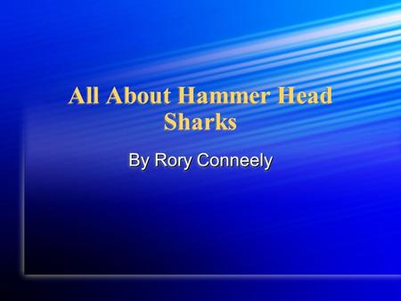 All About Hammer Head Sharks By Rory Conneely. In my report you are going to learn about the hammer head shark. First, you are going to learn about physical.