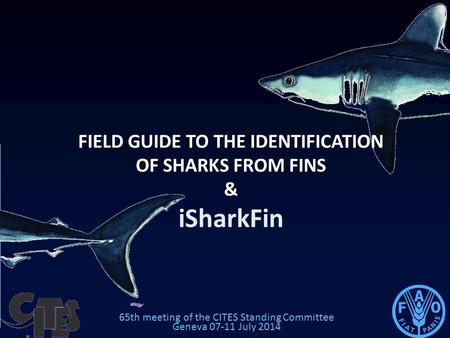 65th meeting of the CITES Standing Committee Geneva 07-11 July 2014 FIELD GUIDE TO THE IDENTIFICATION OF SHARKS FROM FINS & iSharkFin.
