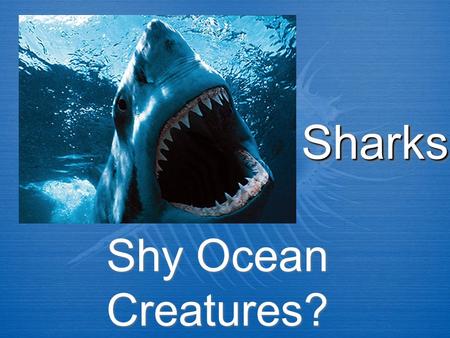 Sharks Shy Ocean Creatures?.
