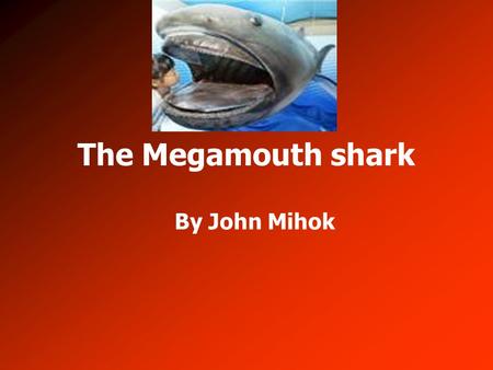 The Megamouth shark By John Mihok. Physical Features Its color is bluish-black 17.6 feet – 21 feet Weighs 1,650 pounds Huge mouth on head No anal fin.
