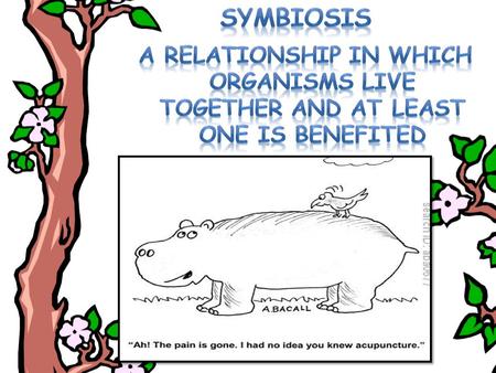 Symbiosis A relationship in which organisms live Together and at least one is benefited.