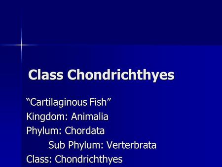 Class Chondrichthyes “Cartilaginous Fish” Kingdom: Animalia