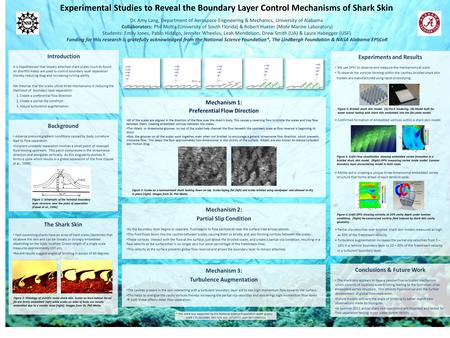 Experimental Studies to Reveal the Boundary Layer Control Mechanisms of Shark Skin Dr. Amy Lang, Department of Aerospace Engineering & Mechanics, University.