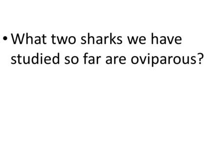 What two sharks we have studied so far are oviparous?