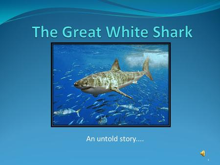 An untold story.... 1. What’s In A Name? The Great White Shark is also known as the ‘White Pointer’, ‘White Shark’ and ‘White Death’. Its scientific name.