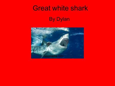 Great white shark By Dylan seesharks.com. Habitat A Great white shark’s habitat are the oceans besides the artic.