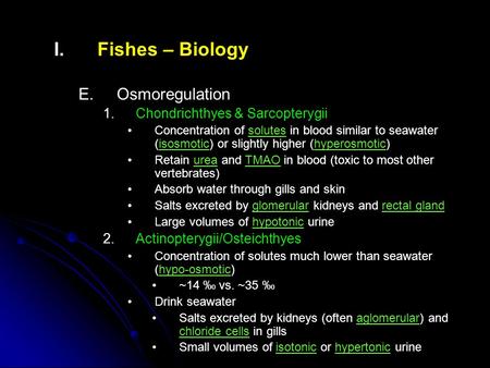 Fishes – Biology Osmoregulation Chondrichthyes & Sarcopterygii