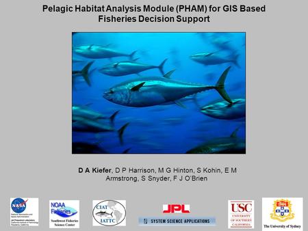 D A Kiefer, D P Harrison, M G Hinton, S Kohin, E M Armstrong, S Snyder, F J O’Brien Pelagic Habitat Analysis Module (PHAM) for GIS Based Fisheries Decision.