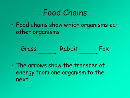 Food Chains Food chains show which organisms eat other organisms
