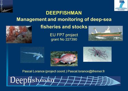 Management and monitoring of deep-sea fisheries and stocks