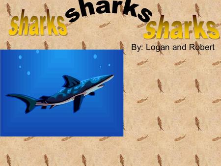 Sharks sharks sharks By: Logan and Robert.
