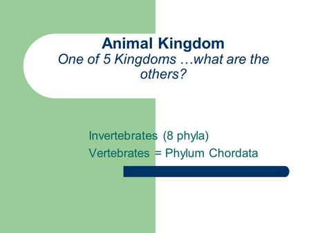 Animal Kingdom One of 5 Kingdoms …what are the others?