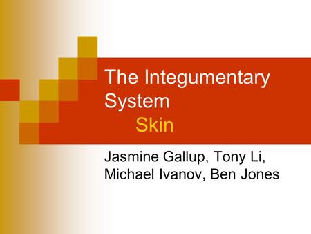 The Integumentary System Skin Jasmine Gallup, Tony Li, Michael Ivanov, Ben Jones.