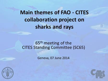 Main themes of FAO - CITES collaboration project on sharks and rays 65 th meeting of the CITES Standing Committee (SC65) Geneva, 07 June 2014.