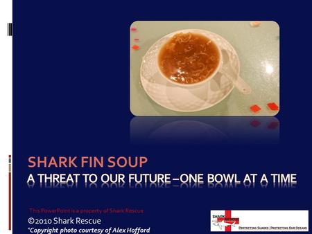 ©2010 Shark Rescue SHARK FIN SOUP * Copyright photo courtesy of Alex Hofford This PowerPoint is a property of Shark Rescue.