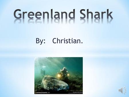 By: Christian. Habitat  Greenland sharks like it very cold.  They live in North Atlantic waters around Greenland, Canada and Iceland.  They are very.