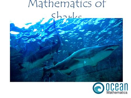 Mathematics of Sharks. When foraging for prey, Sharks follow a Lévy walk / flight characterized by short movements in random directions, interspersed.